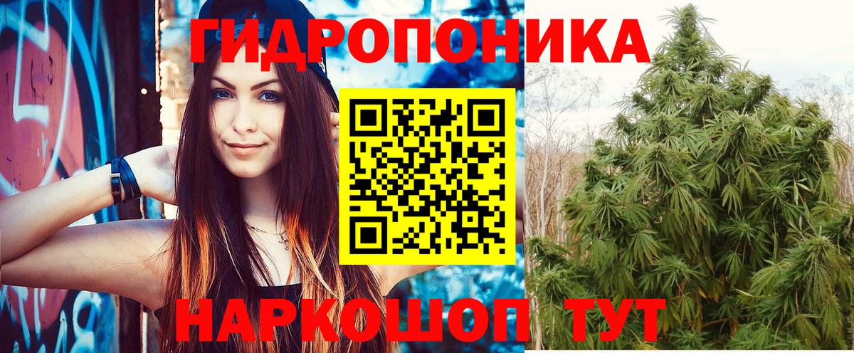 Элиста  Марихуана MAZAR  Каннабис тримм  Шишки марихуана план  Вход с VPN 